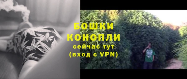 ECSTASY Михайлов