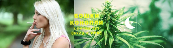 прущие грибы Чекалин