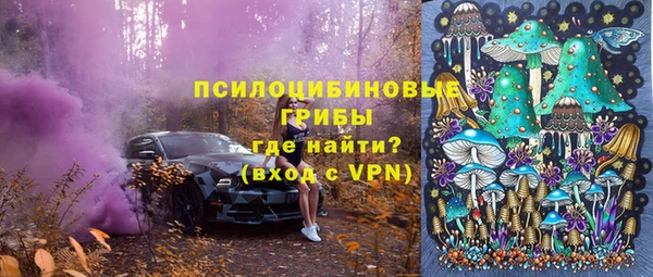 ECSTASY Михайлов