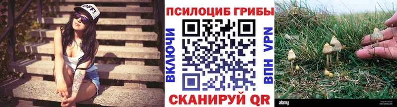 Псилоцибиновые грибы MAGIC MUSHROOMS  Кирово-Чепецк 