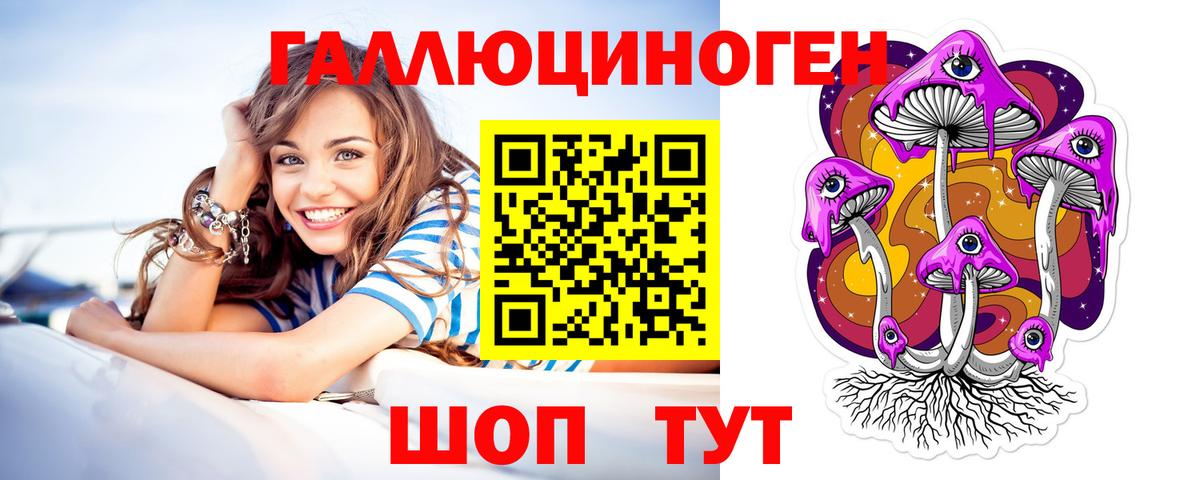 Псилоцибиновые грибы GOLDEN TEACHER  Кирово-Чепецк 