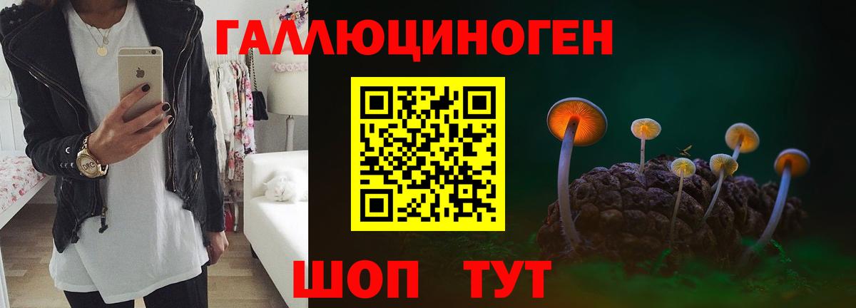 Кирово-Чепецк  Галлюциногенные грибы Psilocybe  Псилоцибиновые грибы Psilocybine cubensis  Вход с VPN 
